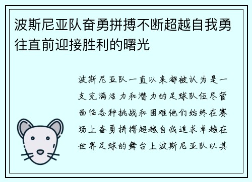 波斯尼亚队奋勇拼搏不断超越自我勇往直前迎接胜利的曙光